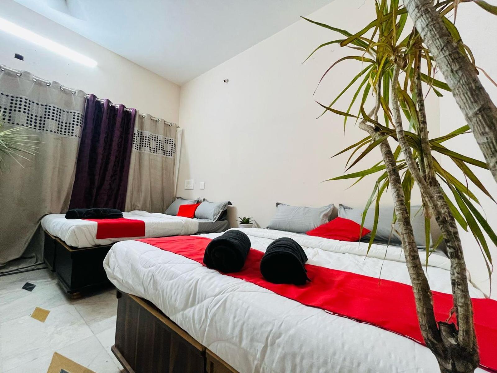 Adh Hazel Wood Hotell Mysore Eksteriør bilde
